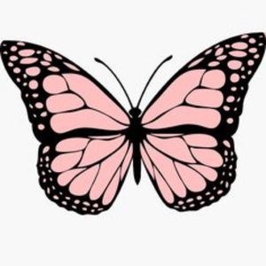 Meet your Posher, Lexie